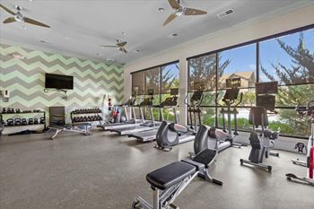 A large fitness center with treadmills, a workout bench, free weights, and a beautiful view of greenery outside the large windows.
